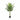 Lule / Palme 18 Dege / 1.4m
