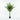 Lule / Palme 27 Dege / 1.7m