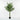 Lule / Palme 36 Dege / 2m