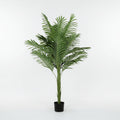 Lule / Palme 36 Dege / 2m
