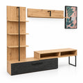 TV UNIT EVIS