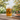 Gote Birre / 2 cope / Qelq