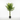 Lule / Palme 12 Dege / 1.1m