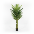 Lule / Palme 27 Dege / 1.7m
