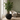 Vazo Dekorative M / 53*53*41.1cm / Mediterranean Black
