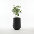 Vazo Dekorative M / 39*39*51cm / Coal Black